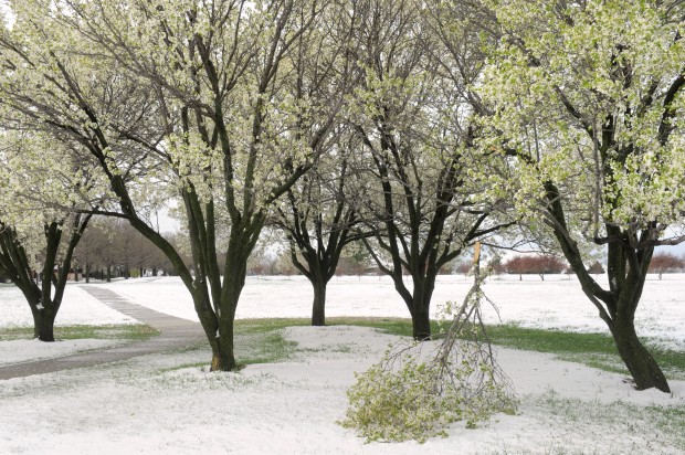 Snow in May
